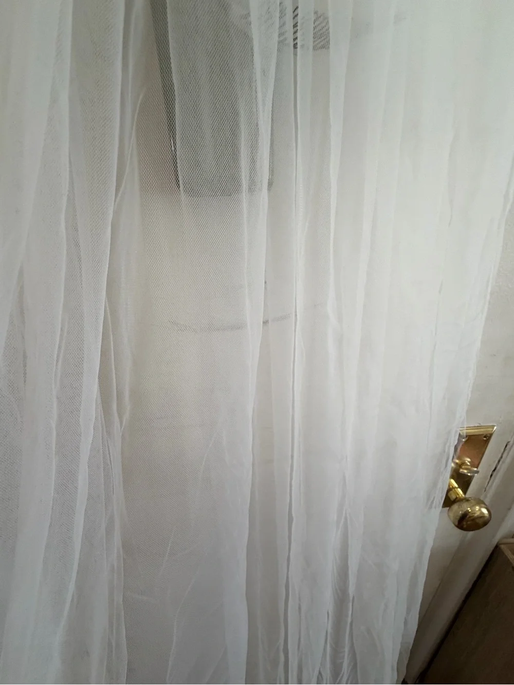 Off-White Cathedral Length Bridal Veil